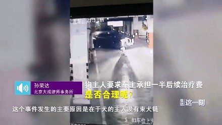 北京一宠物狗主人在地库遛狗不栓绳狗被撞伤后这样要求