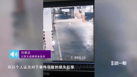 北京一宠物狗主人在地库遛狗不栓绳狗被撞伤后这样要求