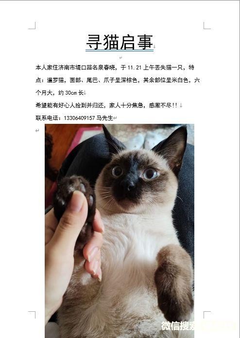 附近最新寻狗启示微同城找猫启事宠物走丢失中心平台-1209宠友社