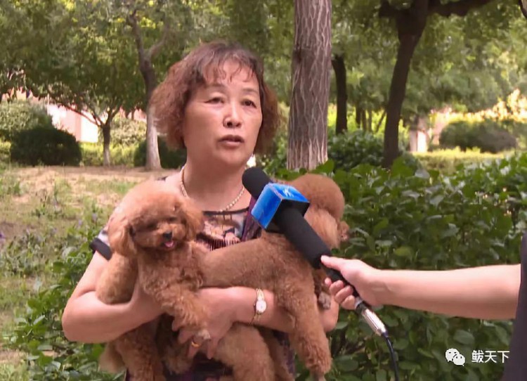 营口有礼文明养犬！鲅鱼圈多家小区设置宠物拾便箱你是一名负责的主人吗